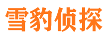 崇安市调查公司